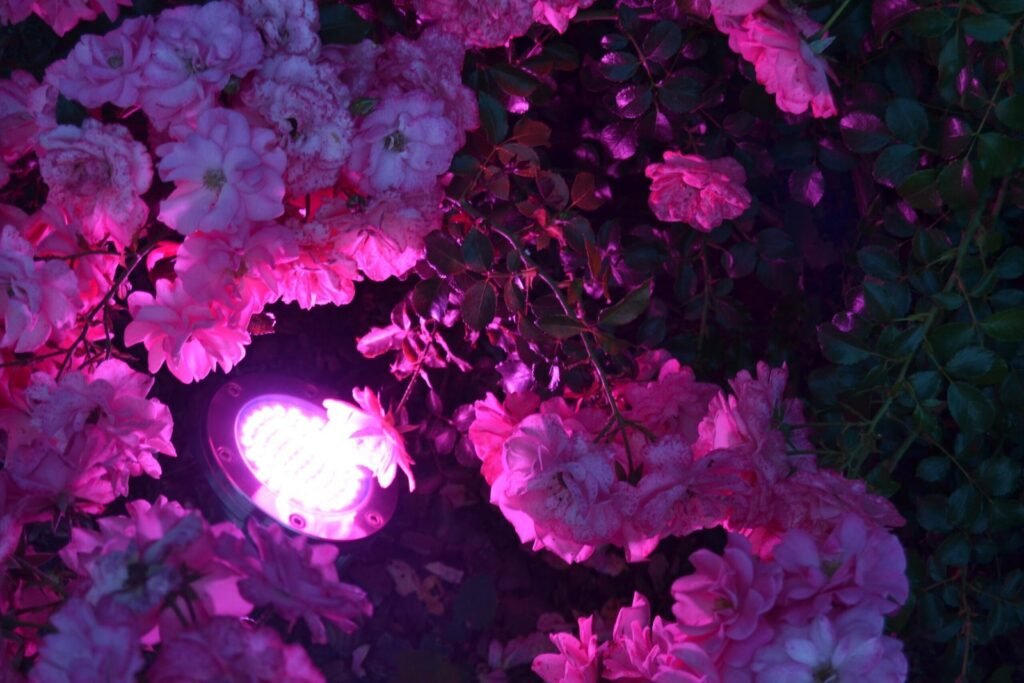 LED PER IL GIARDINO